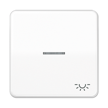 JUNG CD 500/CD plus Белая Клавиша 1-ая с/п с символом ОСВЕЩЕНИЕ CD590KO5LWW