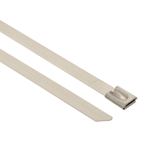 Купить EKF PROxima Хомут AISI 304 из нержавеющей стали, 4.6x290 (100 шт.) FlexLock