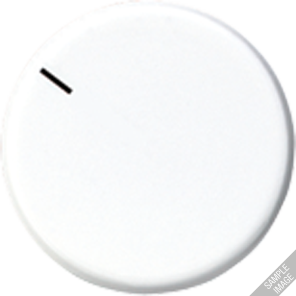 JUNG Специальная накладка, слоновая кость MSTR231