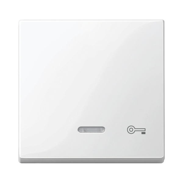 Купить SE Merten SM Клавиша со световой индикацией, «дверь» (MTN435319)