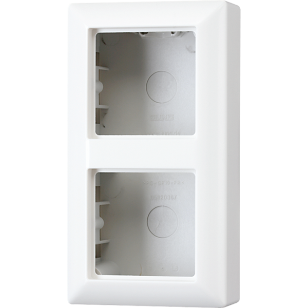 JUNG AS 500 Белая Коробка 2-ая для накладного монтажа AS582AWW
