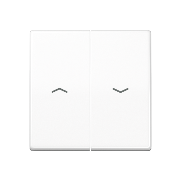 JUNG Клавиши для выключателя управления жалюзи термопластбелые AS591-5PBFWW