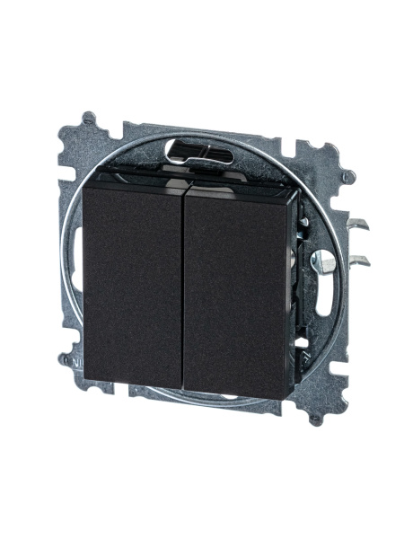 ABB EPJ Levit антрацит / дымчатый чёрный Переключатель 2-клавишный 2CHH595245A6063