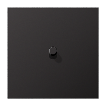 JUNG LS1912 Dark Центральная плата, 1 пост, 1 тумблер, цилиндр; метал. исполнение AL12-0DR01