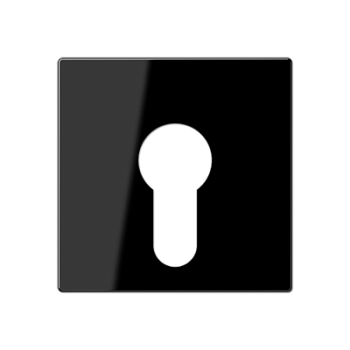 JUNG Крышка для выключателя с замком черный A525PLSW