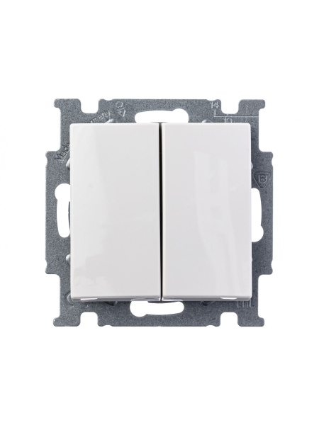 Купить ABB BJB Basic 55 Бел Выключатель 2-х клавишный 2CKA001012A2141