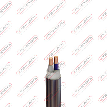 Кабель силовой безгалогенный ППГнг(А) -HF 2х10 ок(N)-0,66 Угличкабель PLHF1020100110000000
