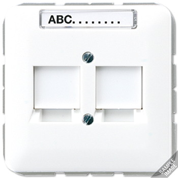 JUNG Крышка для модульных гнезд 569-2NAT