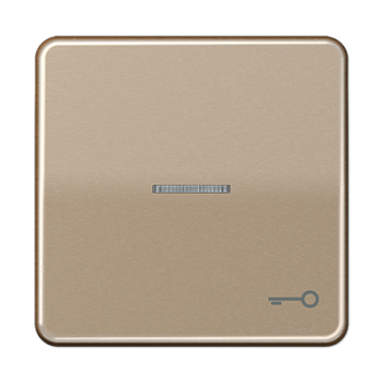 JUNG CD 500/CD plus Бронза Клавиша 1-ая с/п с символом КЛЮЧ CD590KO5TGB