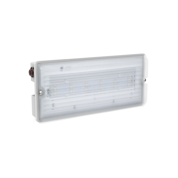 Varton Светильник аварийно-эвакуационный Compact серии Advanced 2W IP65 3ч Teletest V1-EM-00432-01AT0-6500265