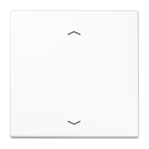 JUNG Клавиша для кнопки BCU LS990PWW