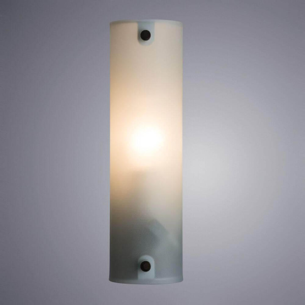 Купить Arte Lamp TRATTO Подсветка для картин 7*7*24,5 A4101AP-1WH