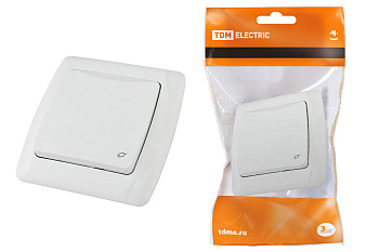 TDM Розетка с крышкой 2П+З 16А 250В IP44 белая "Онега" SQ1805-0019