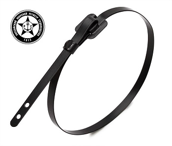 Стяжка стальная с бугельным замком с покрытием СКБ-П (316) 9,6*250 (Fortisflex) 74165