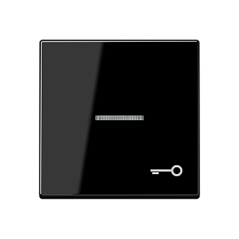 JUNG Клавиша для контрольного выключателя со знаком ключ черный A590KO5TSW