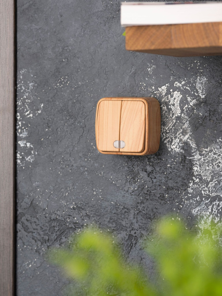 Купить EKF Basic Минск Светлое дерево Выключатель 2-кл с индикатором,  10А, ОП