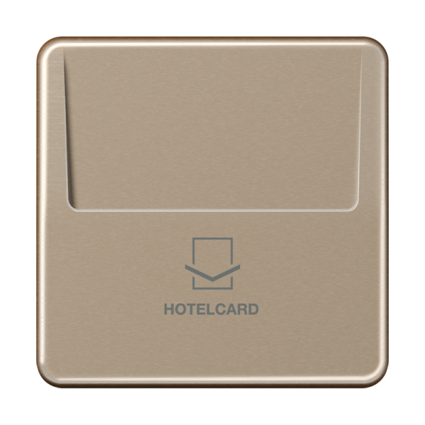 JUNG Накладка-картодержатель для балансирных механизмов 531U, 532U, 533U, 534U термопласт золотая бронза CD500 CD590CARDGB-L