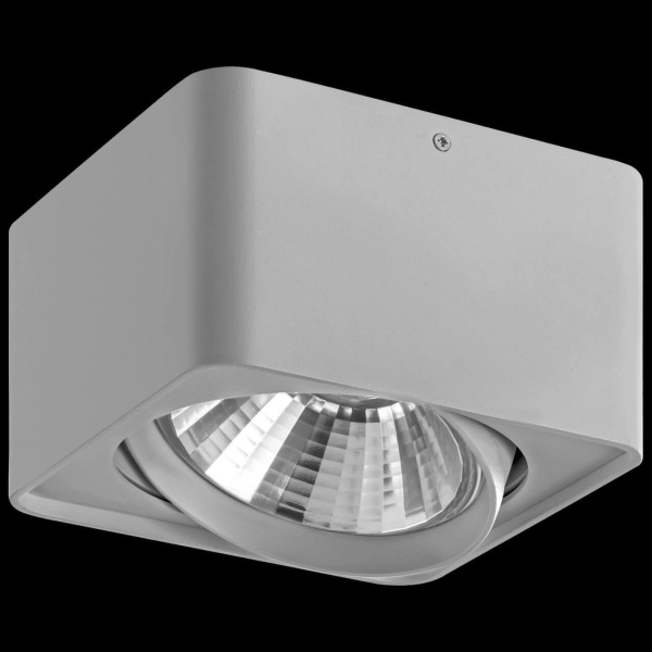 Купить Lightstar Светильник точечный накладной декоративный под заменяемые галогенные или LED лампы Monocco Lightstar 212619