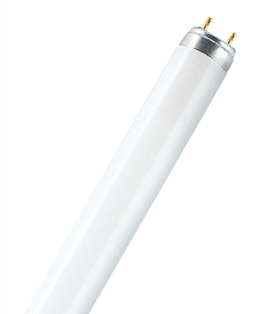 Osram T8 Special Лампа люминесцентная 18W/76 G13 3500К 4050300010519