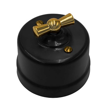 BIRONI Лизетта Пластик Черный Выключатель 2-кл, ручка Золото B1-202-23-G