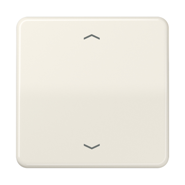 JUNG Клавиша для одинарной кнопки BCU слоновая кость CD590P