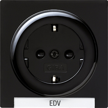 Gira Розетка с полем для надписи 018747