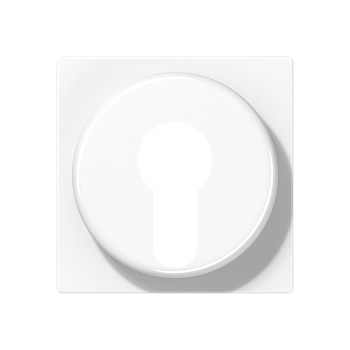 JUNG Крышка для выключателя с замком белый A528PLWW