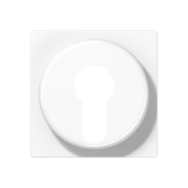 JUNG Крышка для выключателя с замком белый A528PLWW