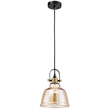 Maytoni Loft Irving Черный Подвес 1xE27 40W T163-11-R Maytoni Loft Irving Черный Подвес 1xE27 40W T163-11-R