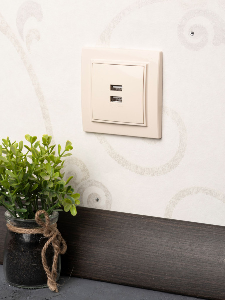 Купить EKF Basic Минск Бежевый Розетка USB 2-ая, 2,1А, СП