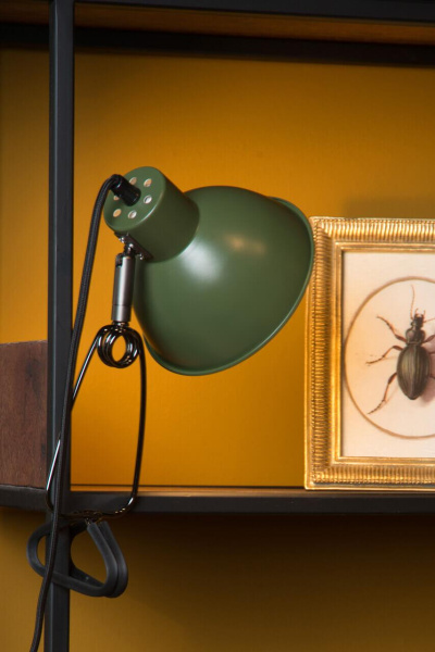 Купить Lucide MOYS Зеленый Настольная лампа 45987/01/33