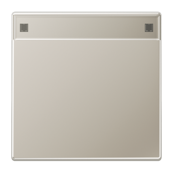 JUNG Клавиша для выключателя с полем для надписи благородная сталь ES2990NA