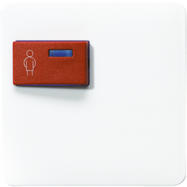 JUNG Крышка для изделий фирмы Ackermann CD071CWW