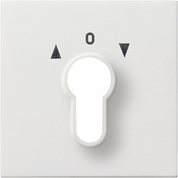 Gira Накладка выключателя с ключом 0664112