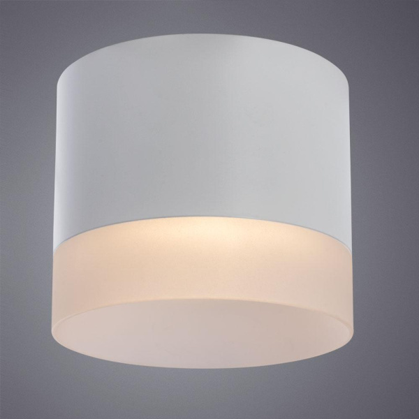 Купить Arte Lamp A5554PL-1WH Потолочные светильники