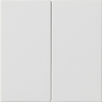 Gira Накладка управления 2-местн. System 3000 536227