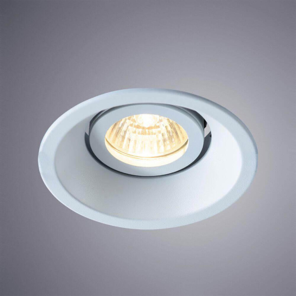 Купить Arte Lamp TAURUS Потолочные светильники A6668PL-1WH