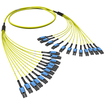 DKC Оптическая разветвительная сборка 24ОВ 9/125 OS2, 12хLC-UPC Duplex Uniboot/12хLC-UPC Duplex Uniboot, 10м