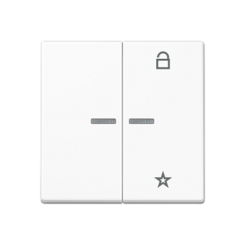 JUNG A Flow/A 550 Белый матовый Центральная плата универсальная A1701BFWWM