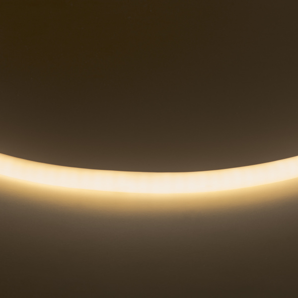 Lightstar Лента белого свечения Neoled Lightstar 430202
