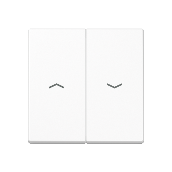 JUNG A 500 Белая Клавиша 2-ая жалюзийная A595PWW