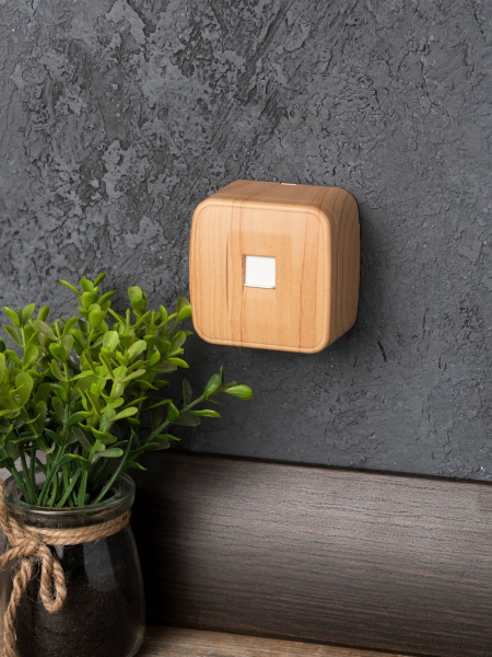 Купить EKF Basic Минск Светлое дерево Розетка RJ-45, 1А, 120В, ОП