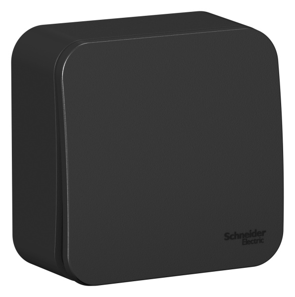 Купить Systeme Electric Blanca наруж Антрацит Переключатель 1-клавишный 10А, 250B, изолир. пластина