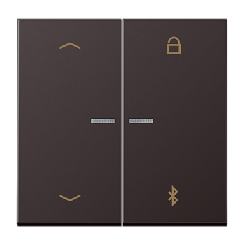 JUNG Таймер универсальный Bluetooth «стрелки», Dark AL1751PBTD