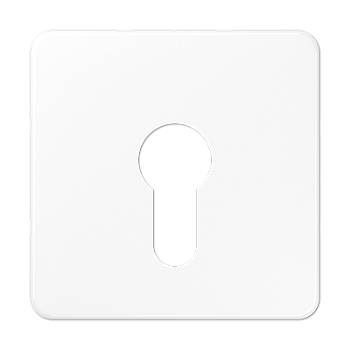 JUNG центральная плата для вставки с ключом, белый CD525WW