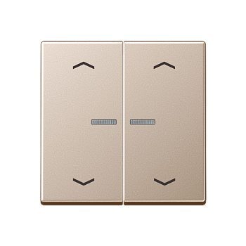 JUNG Клавиша для выключателя с подсветкой, шампань A595KO5MPCH