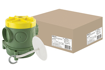 TDM Установочная коробка СП 82х80х90,5мм, крюк для люстры, гайка, для заливки в бетон, SQ1402-9002