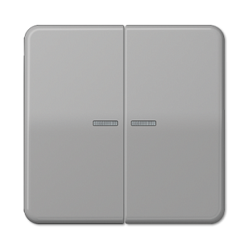 JUNG Клавиша для KNX кнопки, 2 группы с окошком дюропласт серый CD102KO5GR