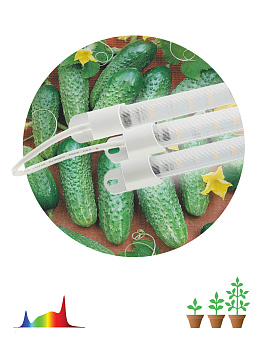 ЭРА FITO-3х10W-LINE-Ra90 (40)