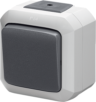 ABB Variant+ Серый Переключатель перекрёстный одноклавишный с прозрачной линзой, IP54 2CHN580752C4517